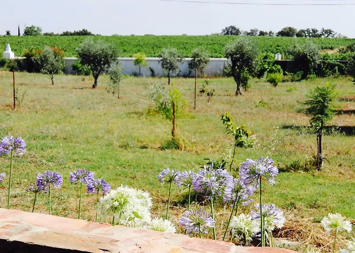 Casa Da Pedra-Quinta Do Briando