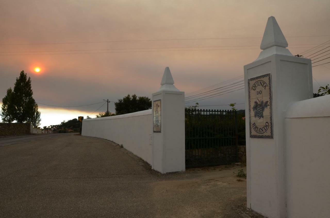 Casa Da Pedra-quinta Do Briando Holiday home Portalegre
