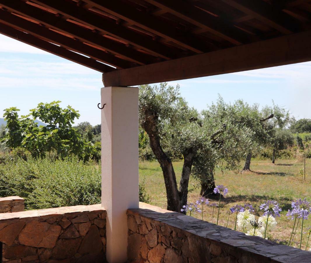Casa Da Pedra-quinta Do Briando * Portalegre