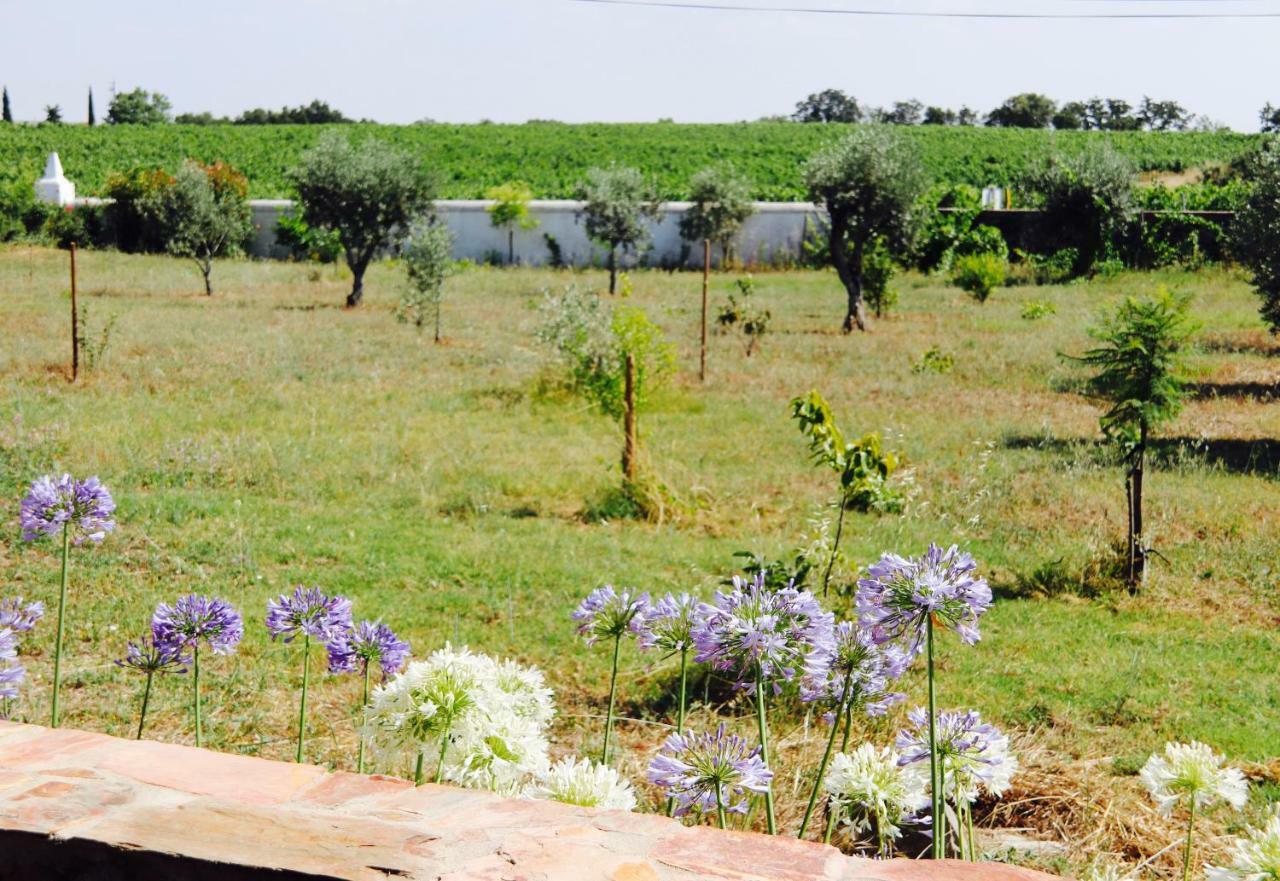 Holiday home Casa Da Pedra-quinta Do Briando Portalegre