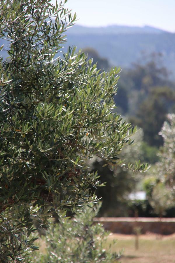 Holiday home Casa Da Pedra-quinta Do Briando *